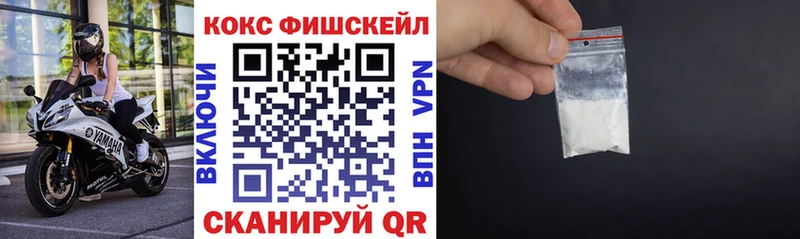 как найти закладки Новокузнецк COCAIN Fish Scale