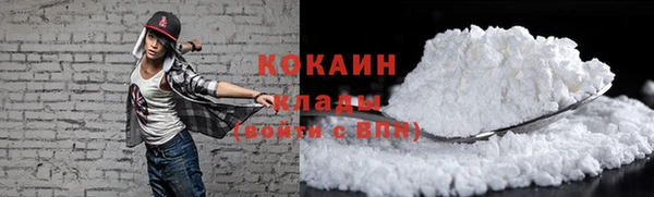 прущие грибы Магас