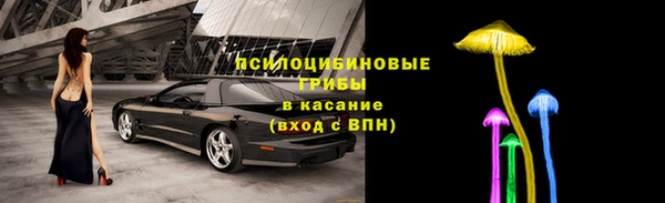 прущие грибы Магас