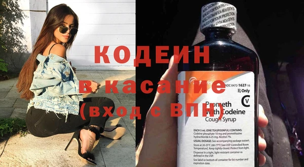 прущие грибы Магас