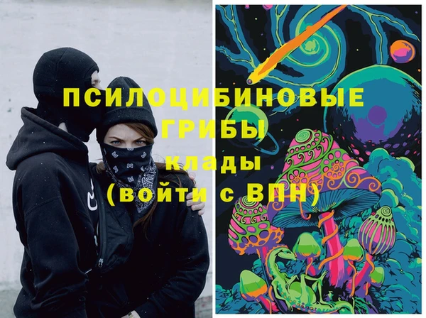 прущие грибы Магас