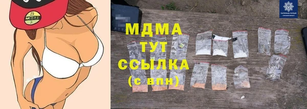 прущие грибы Магас
