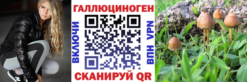 Галлюциногенные грибы MAGIC MUSHROOMS Новокузнецк