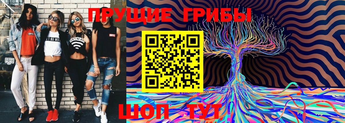 Новокузнецк  Псилоцибиновые грибы GOLDEN TEACHER  Вход с VPN 