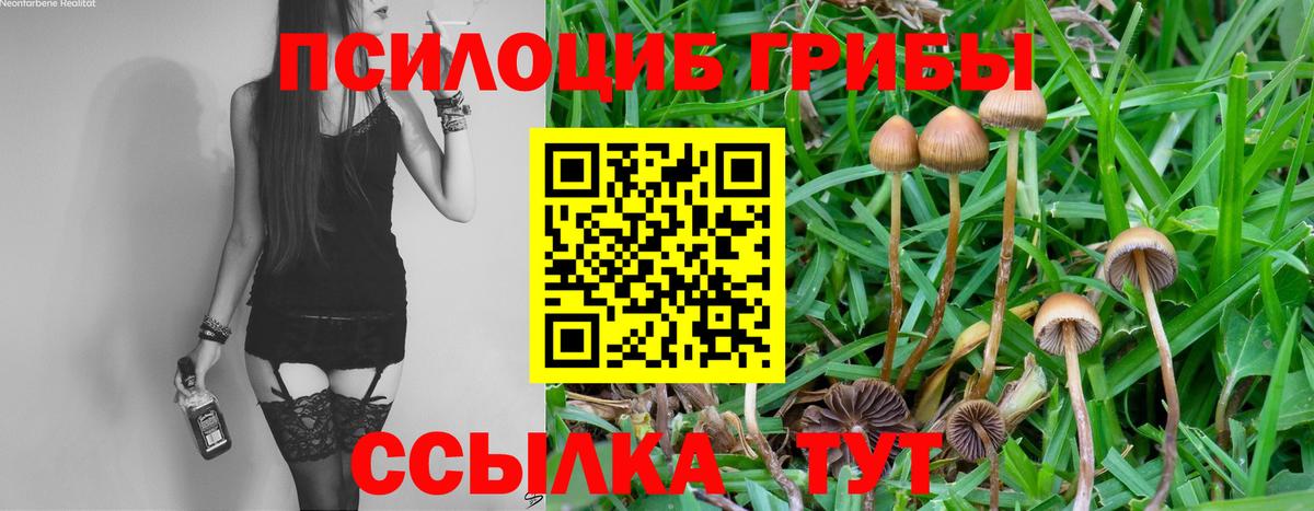Псилоцибиновые грибы GOLDEN TEACHER Новокузнецк