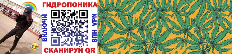 Шишки марихуана ГИДРОПОН Новокузнецк