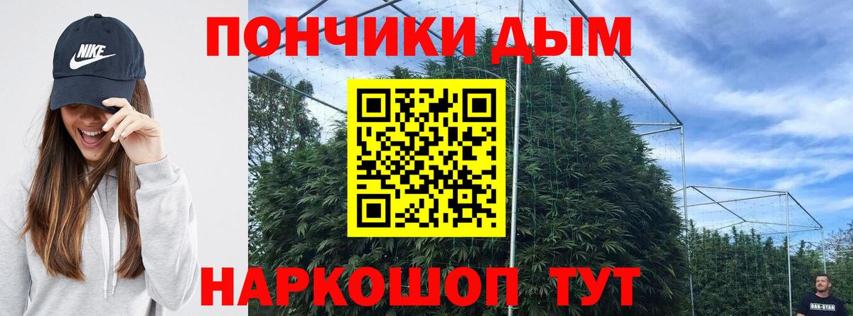 Альфа ПВП Новокузнецк